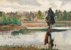 Drzewo Nad Woda by Michael Gorstkin-Wywiorski