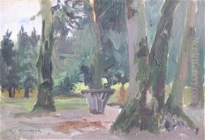 Stary Park