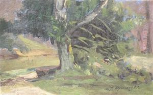 Pejzaz Z Drzewem