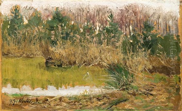 Pond In Woods - view 1