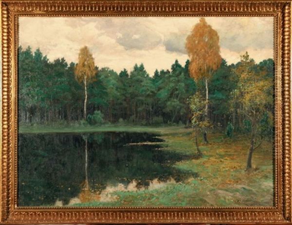 Staw W Lesie - view 1