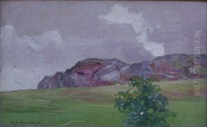 Landschaft Mit Fels
