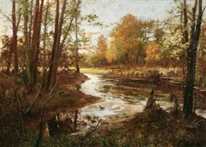 Herbstwald Mit Bachlauf Herbstwald Mit Bachlauf