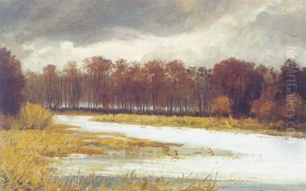 Fluslandschaft Im Winter - view 1