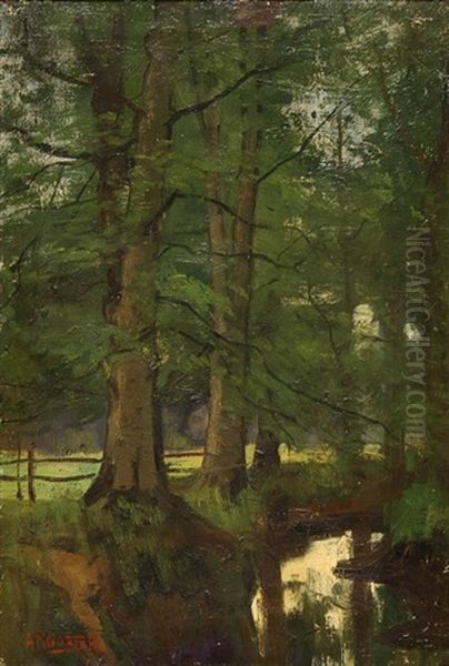 Forest Landscape - view 1
