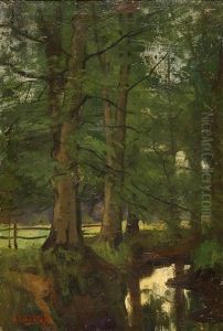 Forest Landscape