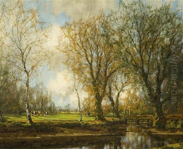 A Shady Stream - view 1