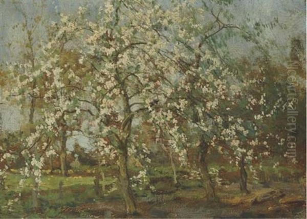 Appelbloesem: A Blossoming Apple Orchard - view 1