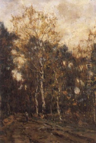 Landscape - view 1