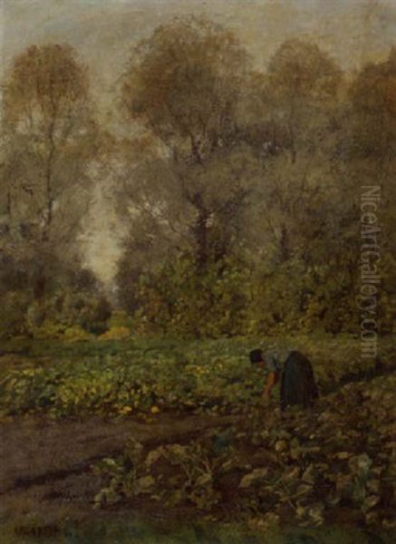 A Peasant Woman Working In The Vegetable Garden - view 1