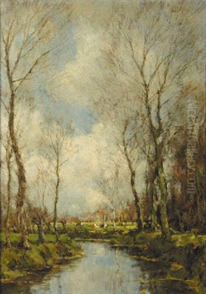 A Brook In The Forest - view 1