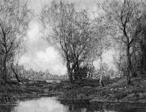 A Fen In Autumn A Fen In Autumn