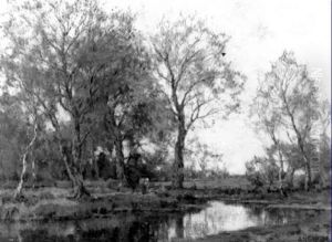 Aan De Vordense Beek