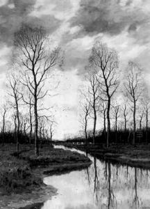 Vaches Au Bord D'un Canal