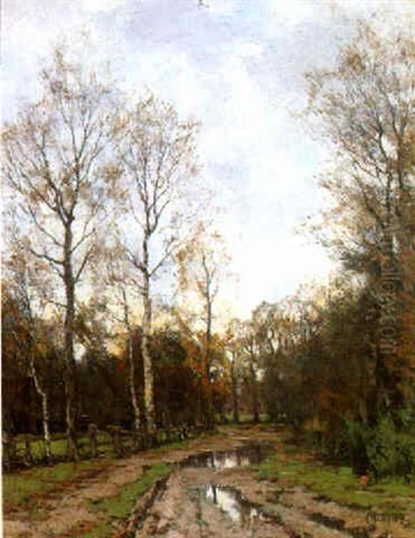 A Path In The Woods - view 1