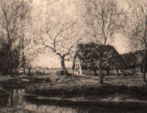 A Farmyard In Spring