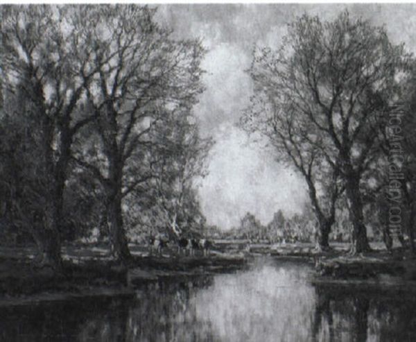 Cows By A Wooded River - view 1