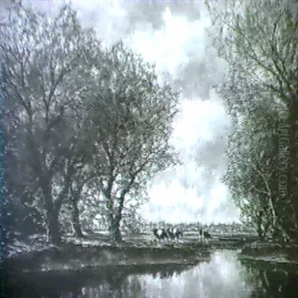 Cows Along A Riverbank - view 1