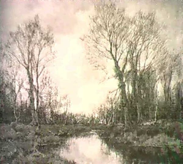 River Landscape - view 1