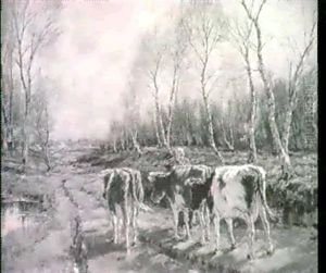 Cattle On A Woodland Lane Cattle On A Woodland Lane