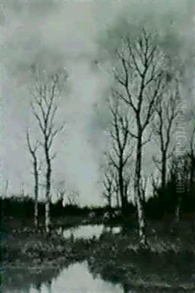 Cattle Grazing By A Pond - view 1