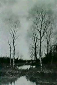 Cattle Grazing By A Pond