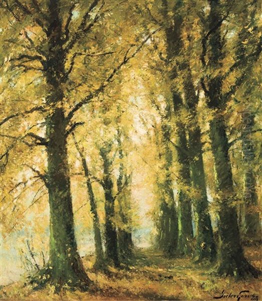 Dreve En Automne - view 1
