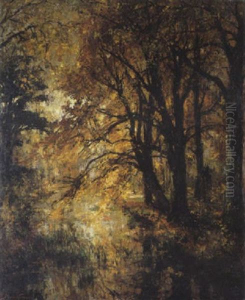 Herfstgezicht In Een Park - view 1