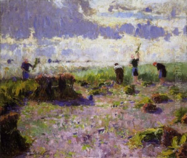 Veldwerk - view 1