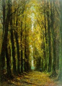 Beukendreef Met Wandelaar In De Herfst