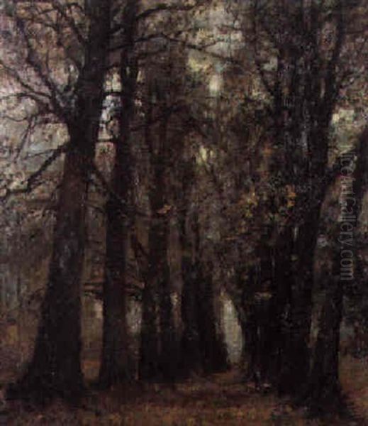 Dreef In De Herfst - view 1