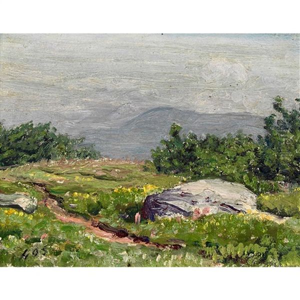 Paysage - view 1