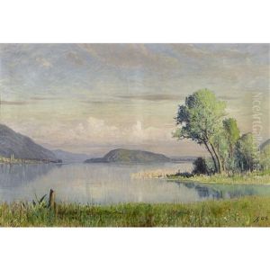Bielersee Mit St. Petersinsel Bielersee Mit St. Petersinsel