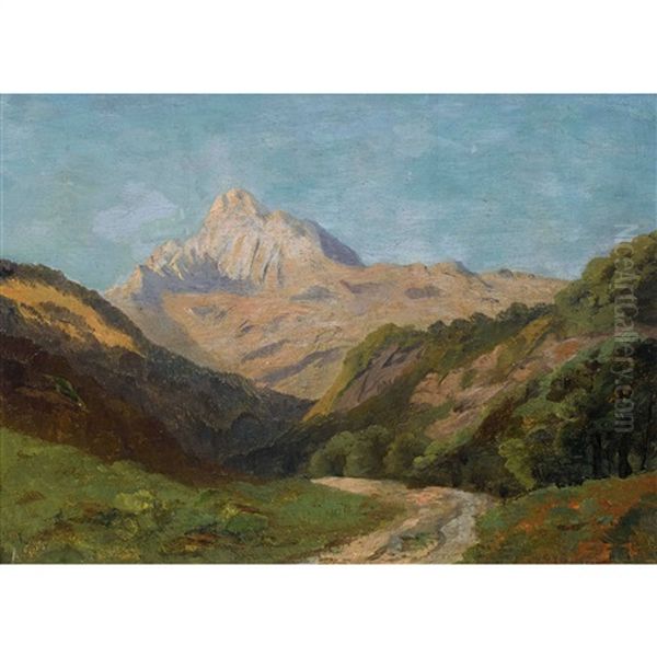 Sommerliche Bergpartie - view 1