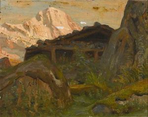 Hutte Mit Bergpanorama