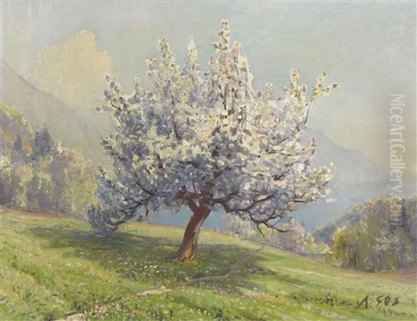 Bluhender Apfelbaum Oberhalb Eines Sees - view 1