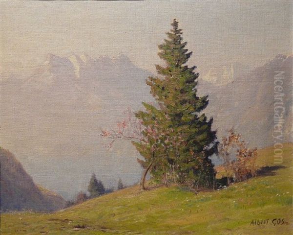 Vue Sur Les Dents-du-midi - view 1