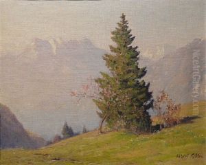Vue Sur Les Dents-du-midi