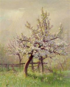 Pommier En Fleurs by Albert H. Gos