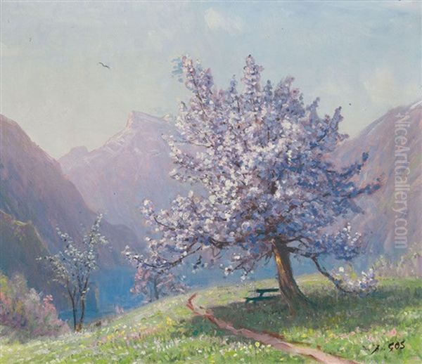 Paysage Du Chablais Avec Dents Du Midi - view 1