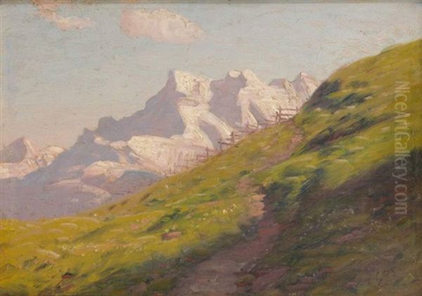 Les Dents Du Midi - view 1