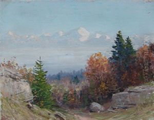 Mont Blanc Du Saleve/mont Blanc Et Les Alpes by Albert H. Gos