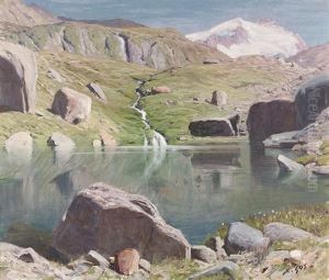 Der Stellisee Im Sommer Der Stellisee Im Sommer