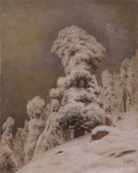 La Neige (ryffelalp) - view 1