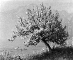 Bluhender Baum Am Ufer Des Genfersees by Albert H. Gos