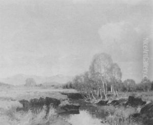 Mountainous Landscape With Pond