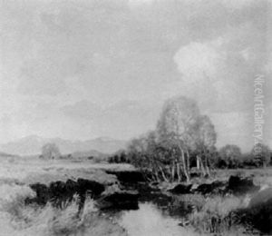 Mountainous Landscape With Pond Mountainous Landscape With Pond