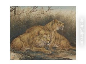 Beastking by Mio Goseki