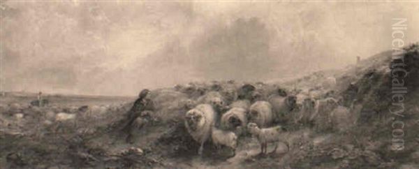 Changing Pastures - view 1
