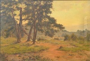Landscape With Old Pines